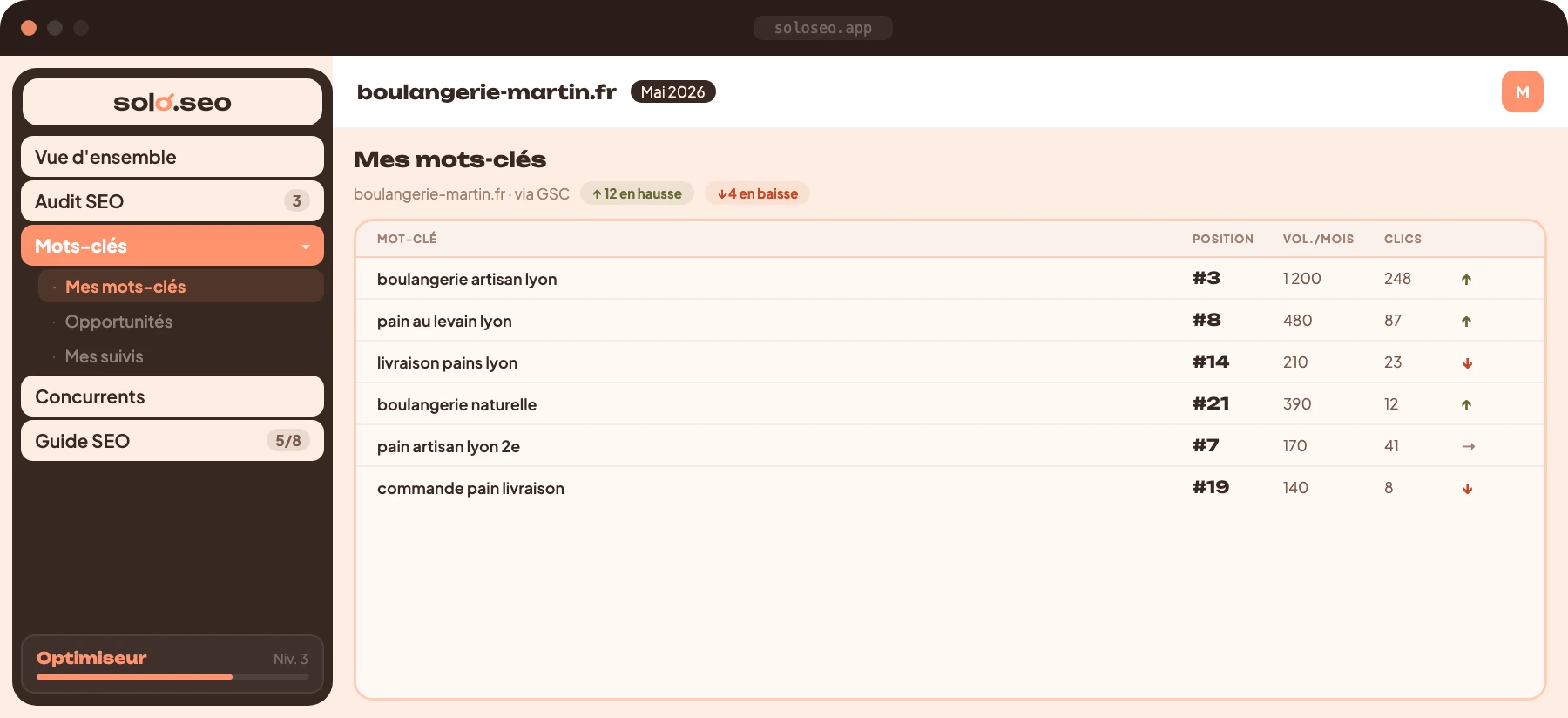 Aperçu de l'application Solo SEO : suivi des positions de mots-clés sur Google